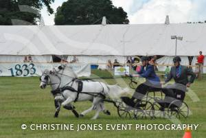 Yeovil Show - July 16-17, 2016: Around 22,000 visitors attended the Yeovil Show over two days at the Yeovil Showground site for a feast of family entertainment. Photo 15