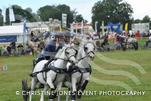 Yeovil Show - July 16-17, 2016: Around 22,000 visitors attended the Yeovil Show over two days at the Yeovil Showground site for a feast of family entertainment. Photo 17