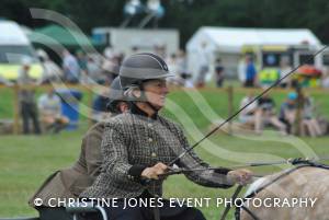 Yeovil Show - July 16-17, 2016: Around 22,000 visitors attended the Yeovil Show over two days at the Yeovil Showground site for a feast of family entertainment. Photo 18