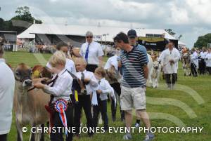 Yeovil Show - July 16-17, 2016: Around 22,000 visitors attended the Yeovil Show over two days at the Yeovil Showground site for a feast of family entertainment. Photo 21