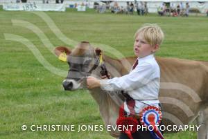Yeovil Show - July 16-17, 2016: Around 22,000 visitors attended the Yeovil Show over two days at the Yeovil Showground site for a feast of family entertainment. Photo 23