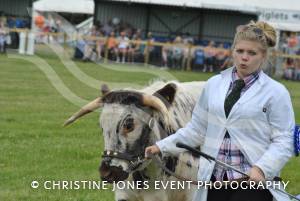 Yeovil Show - July 16-17, 2016: Around 22,000 visitors attended the Yeovil Show over two days at the Yeovil Showground site for a feast of family entertainment. Photo 26