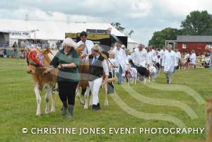 Yeovil Show - July 16-17, 2016: Around 22,000 visitors attended the Yeovil Show over two days at the Yeovil Showground site for a feast of family entertainment. Photo 27