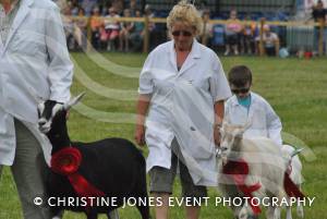 Yeovil Show - July 16-17, 2016: Around 22,000 visitors attended the Yeovil Show over two days at the Yeovil Showground site for a feast of family entertainment. Photo 28