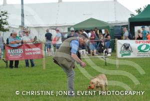 Yeovil Show - July 16-17, 2016: Around 22,000 visitors attended the Yeovil Show over two days at the Yeovil Showground site for a feast of family entertainment. Photo 5