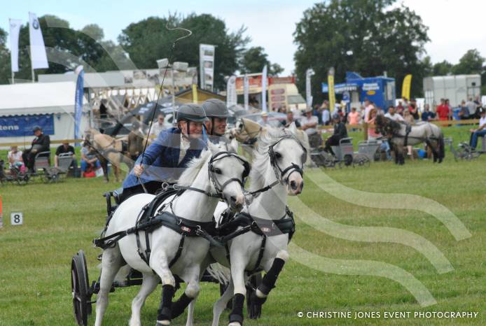 LEISURE: Fantastic Yeovil Show gets civic seal of approval