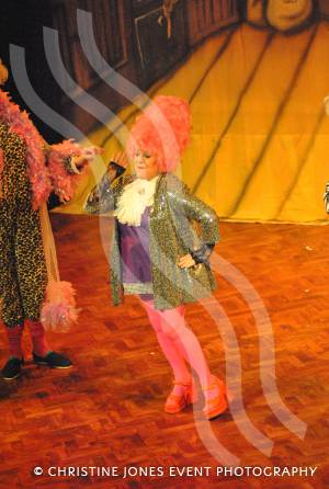 Cinderella with Castaway Theatre Group - Feb 8, 2013: Fanny (Lynn Lee Brown). Photo 67