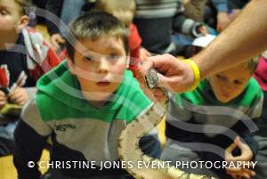 Bugfest at Yeovil - Feb 9, 2013: Thousands of people descended on the Westland Leisure Complex where they were able to get up close to bugs and creepy crawlies including spiders, stick insects, giant snails and snakes! Photo 23