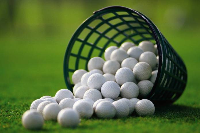 GOLF: Barrie and Brian win seniors stableford at Cricket St Thomas Golf Club