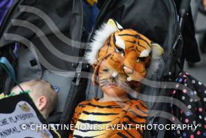 Ilminster Children’s Carnival Part 4 – Sept 24, 2016: The annual Children’s Carnival in Ilminster was another great success. Photo 14