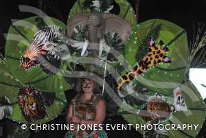 Ilminster Carnival Part 3 – October 1, 2016 Photo 8