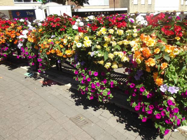 YEOVIL NEWS: Bloom group wins GOLD!