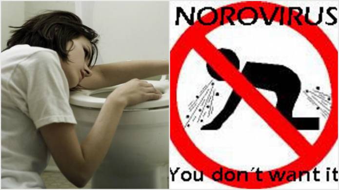 SOMERSET NEWS: Nobody wants norovirus vomiting bug for Christmas