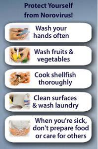 SOMERSET NEWS: Nobody wants norovirus vomiting bug for Christmas