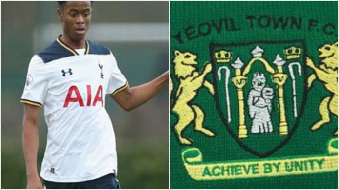 GLOVERS NEWS: Yeovil Town sign Spurs youngster Shayon Harrison on loan