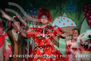 Alice in Wonderland Part 3 – Feb 2017: Somerton Dramatic Society presented Alice in Wonderland from February 10-18, 2017. Photo 1