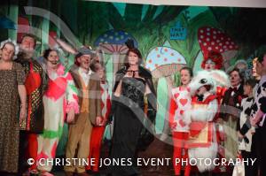 Alice in Wonderland Part 3 – Feb 2017: Somerton Dramatic Society presented Alice in Wonderland from February 10-18, 2017. Photo 20