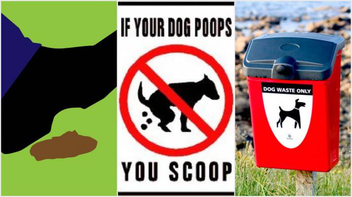 SOUTH SOMERSET NEWS: Fines dished out to dog walkers for failing to pick up their pet’s poo