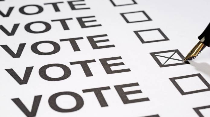 SOMERSET NEWS: Who is standing in your area in the Somerset County Council elections – find out here Photo 2
