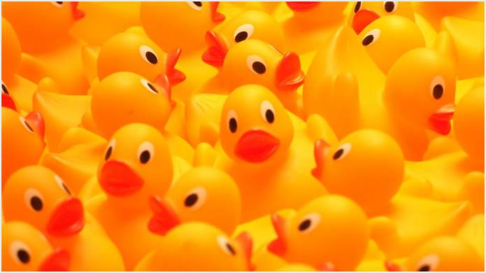CARNIVAL: Annual duck race for South Petherton Carnival