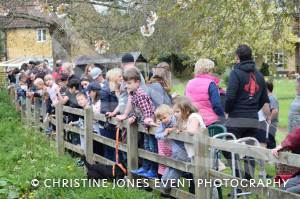 Carnival Duck Race Part 1 – April 2017: The annual South Petherton Carnival duck race proved another successful event in South Petherton. Photo 1