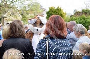 Carnival Duck Race Part 1 – April 2017: The annual South Petherton Carnival duck race proved another successful event in South Petherton. Photo 7