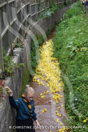 Carnival Duck Race Part 2 – April 2017: The annual South Petherton Carnival duck race proved another successful event in South Petherton. Photo 13