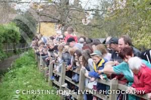 Carnival Duck Race Part 2 – April 2017: The annual South Petherton Carnival duck race proved another successful event in South Petherton. Photo 14