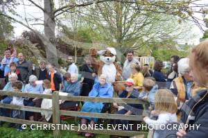 Carnival Duck Race Part 2 – April 2017: The annual South Petherton Carnival duck race proved another successful event in South Petherton. Photo 2