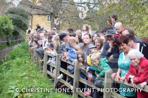 Carnival Duck Race Part 2 – April 2017: The annual South Petherton Carnival duck race proved another successful event in South Petherton. Photo 7