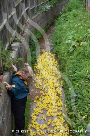 CARNIVAL: Duck race thriller at South Petherton