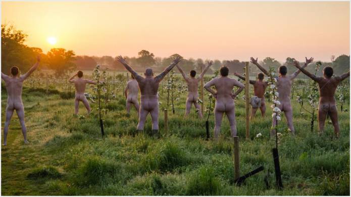 SOUTH SOMERSET NEWS: Cheeky cider lovers worship the apple blossom