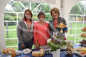Home Farm Fest Part 1 – June 2017: The annual Home Farm Festival near Yeovil was another big success in aid of the School in a Bag initiative. Photo 8