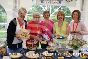 Home Farm Fest Part 2 – June 2017: The annual Home Farm Festival near Yeovil was another big success in aid of the School in a Bag initiative. Photo 10
