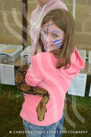 Home Farm Fest Part 2 – June 2017: The annual Home Farm Festival near Yeovil was another big success in aid of the School in a Bag initiative. Photo 14