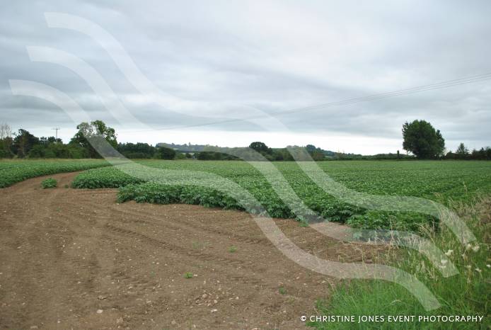 CARNIVAL: Organisers move a step closer to Carnival Park goal for South Somerset Photo 2