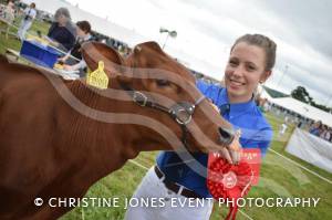 Yeovil Show Part 2 – July 2017: The crowds came out to support the Yeovil Show at the Yeovil Showground. Photo 1