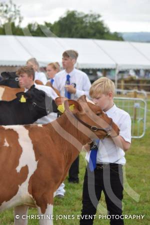 Yeovil Show Part 2 – July 2017: The crowds came out to support the Yeovil Show at the Yeovil Showground. Photo 11