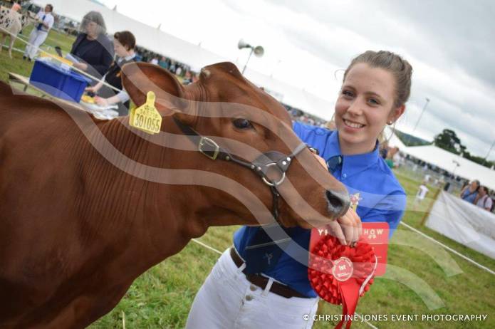 LEISURE: Yeovil Show can go from strength to strength Photo 1
