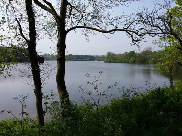 SOUTH SOMERSET NEWS: Country parks gain Green Flag quality recognition Photo 5