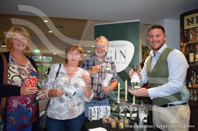 LEISURE: Bertha’s Revenge and Wicked Wolf – all part of the Somerset Gin Festival