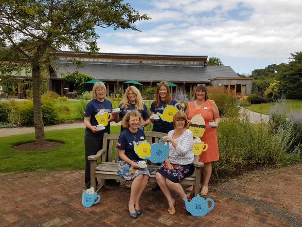 YEOVIL NEWS: Time for Tea for St Margaret’s Hospice