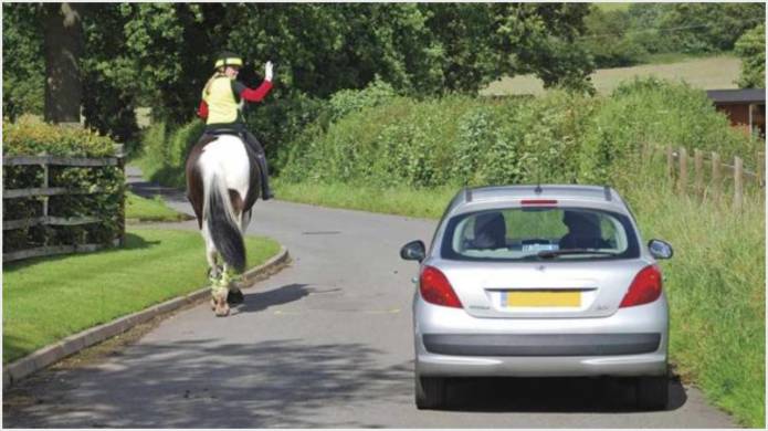 SOMERSET NEWS: Motorists and riders urged to use horse sense on roads
