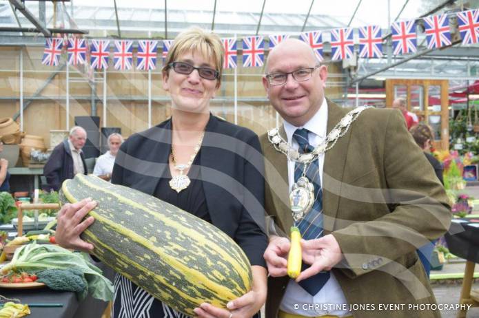 YEOVIL NEWS: All things bright and beautiful, all vegetables great and small