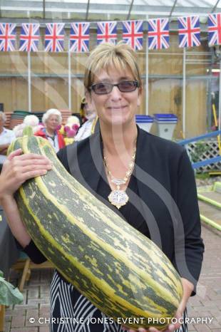 YEOVIL NEWS: All things bright and beautiful, all vegetables great and small Photo 1