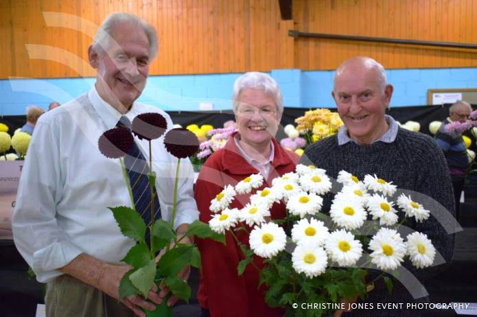 LEISURE: Blooming marvellous show for long-running society Photo 1