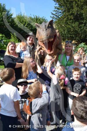 Super Saturday Part 1 – September 23, 2017: There was plenty of fun, music and activity for all the family during the annual Super Saturday event in Yeovil. Photo 2