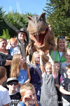 Super Saturday Part 1 – September 23, 2017: There was plenty of fun, music and activity for all the family during the annual Super Saturday event in Yeovil. Photo 3