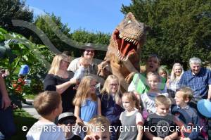 Super Saturday Part 1 – September 23, 2017: There was plenty of fun, music and activity for all the family during the annual Super Saturday event in Yeovil. Photo 5