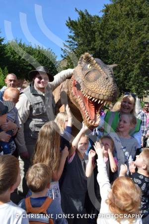 Super Saturday Part 1 – September 23, 2017: There was plenty of fun, music and activity for all the family during the annual Super Saturday event in Yeovil. Photo 7